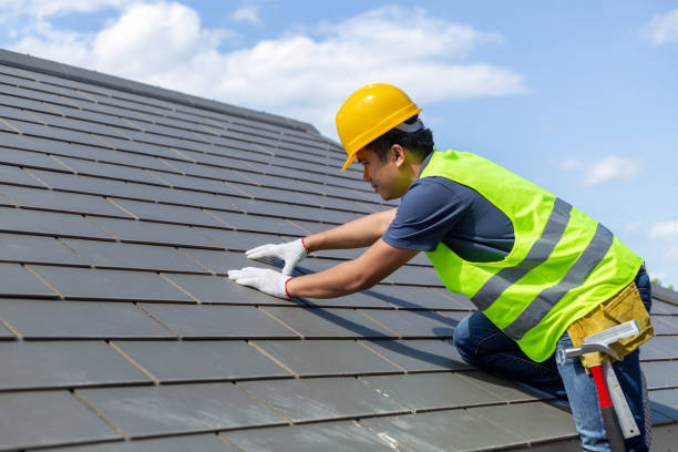 Best Roof Gutter Cleaning  in Van Vleck, TX