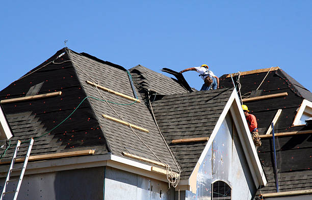 Best Local Roofing Companies  in Van Vleck, TX